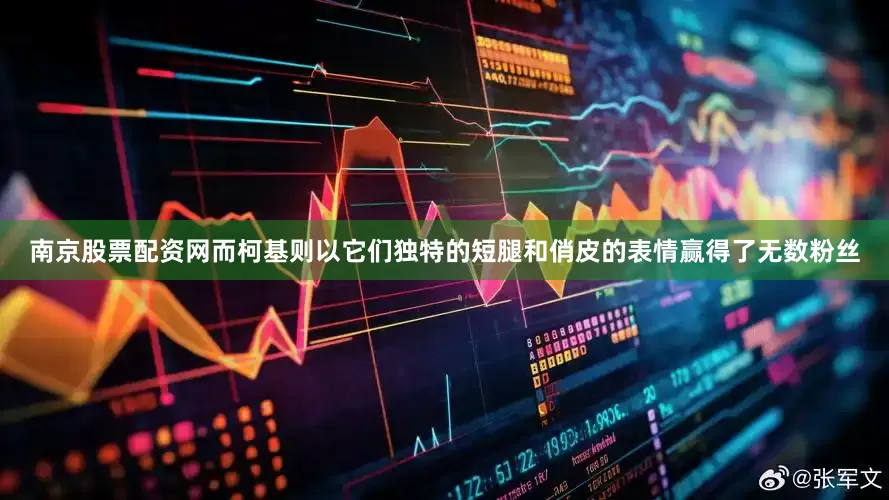 南京股票配资网而柯基则以它们独特的短腿和俏皮的表情赢得了无数粉丝